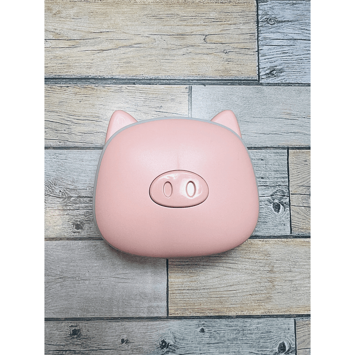 Calentador de mano Chanchito 2