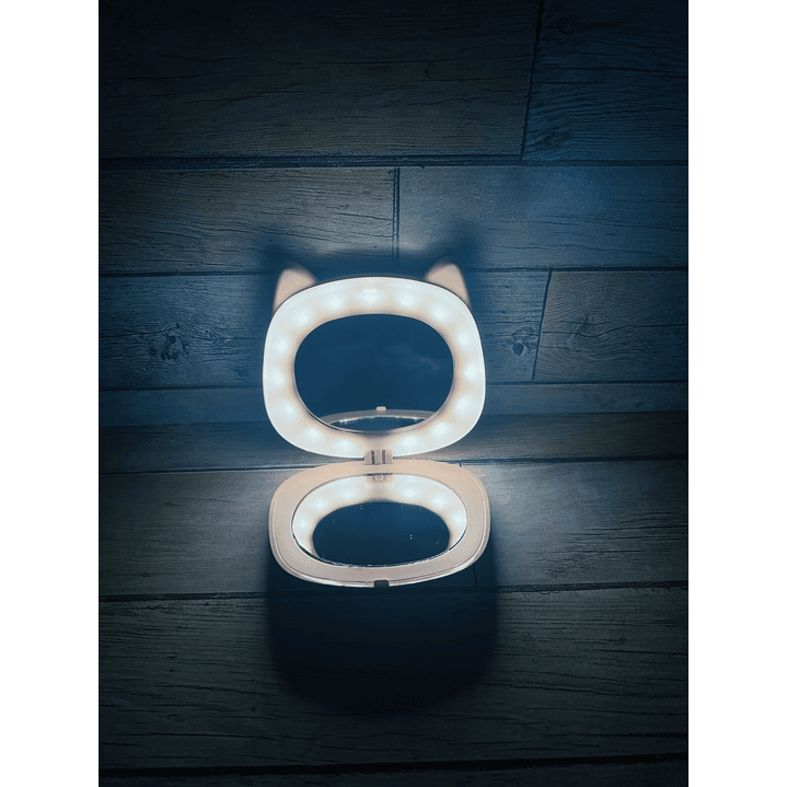 Calentador de mano Chanchito 5