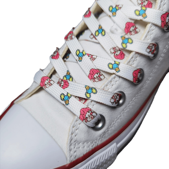 Cordones para zapatos 1