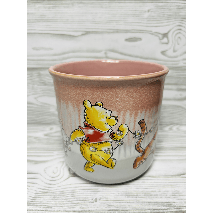 Tazón Winnie the Pooh 5