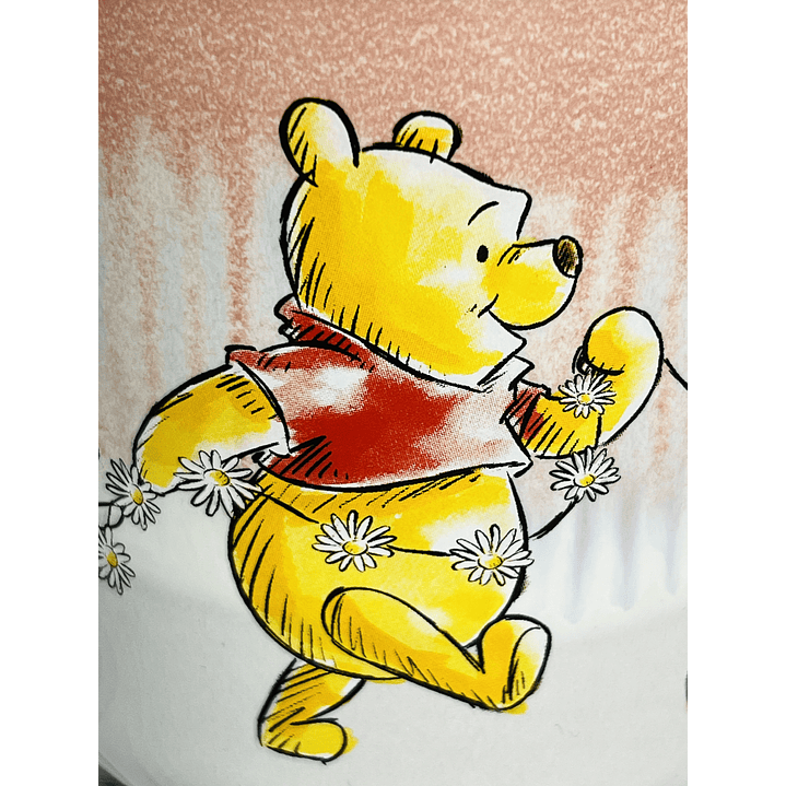 Tazón Winnie the Pooh 7