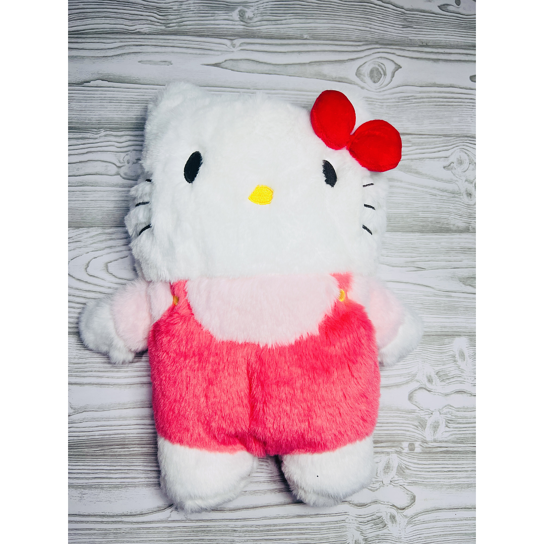 Guatero Hello Kitty 2
