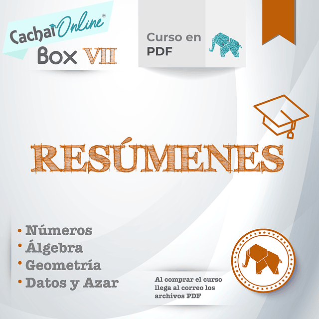 BOX VII: Resúmenes