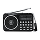 Radio Parlante Digital Nano-Tec NT-R1092 – AM/FM, USB, SD, Recargable