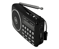 Radio Parlante Digital Nano-Tec NT-R1092 – AM/FM, USB, SD, Recargable
