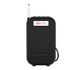 Radio Parlante Nano-tec NT-R2460 Portátil Recargable, FM, USB, SD, Bluetooth