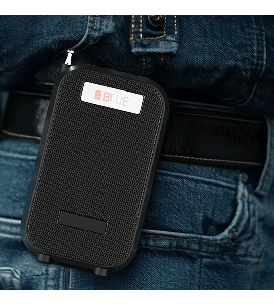 Radio Parlante Nano-tec NT-R2460 Portátil Recargable, FM, USB, SD, Bluetooth