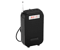 Radio Parlante Nano-tec NT-R2460 Portátil Recargable, FM, USB, SD, Bluetooth