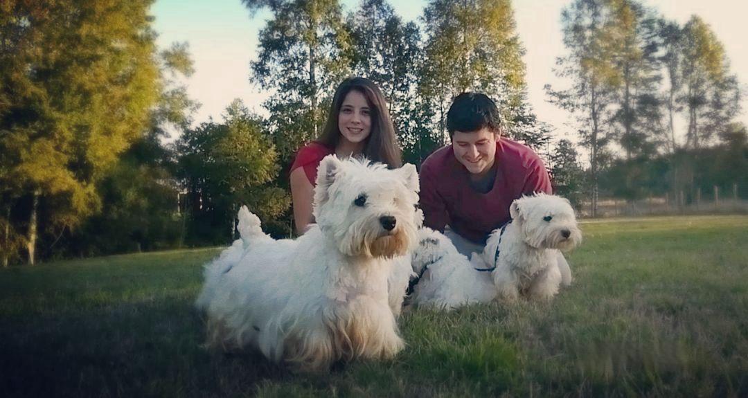 Confianza que se siente 