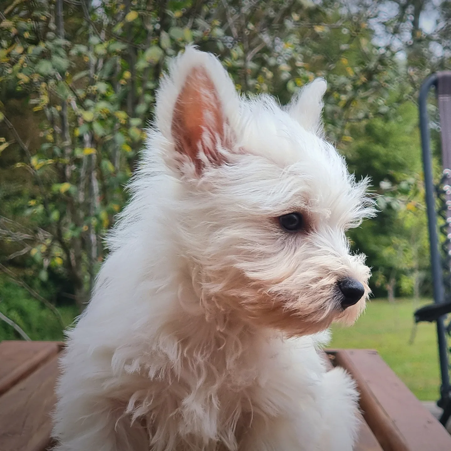 Traslado hasta tu domicio 