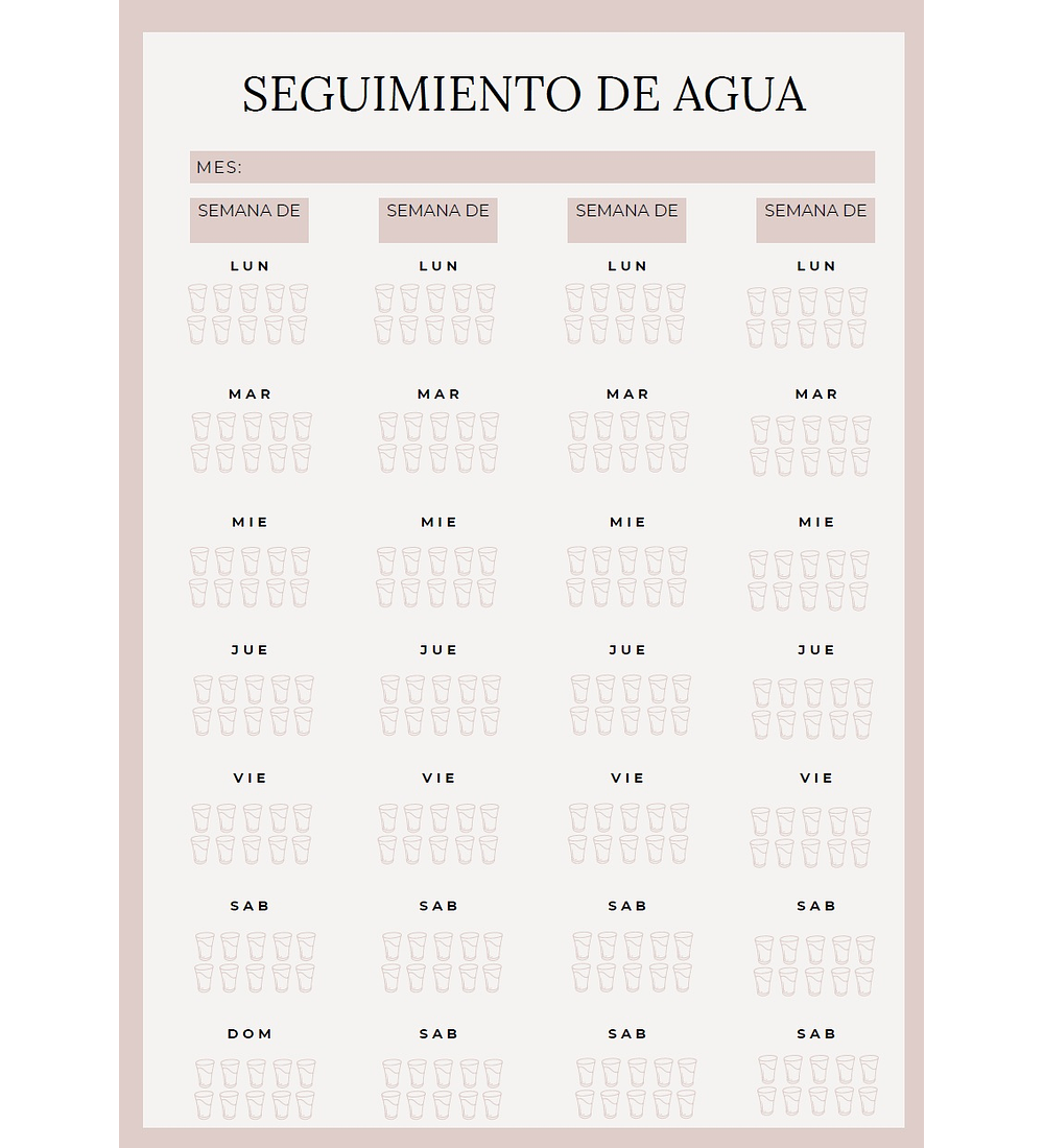 DIARIO DE VIDA: PLANIFICADOR 360°