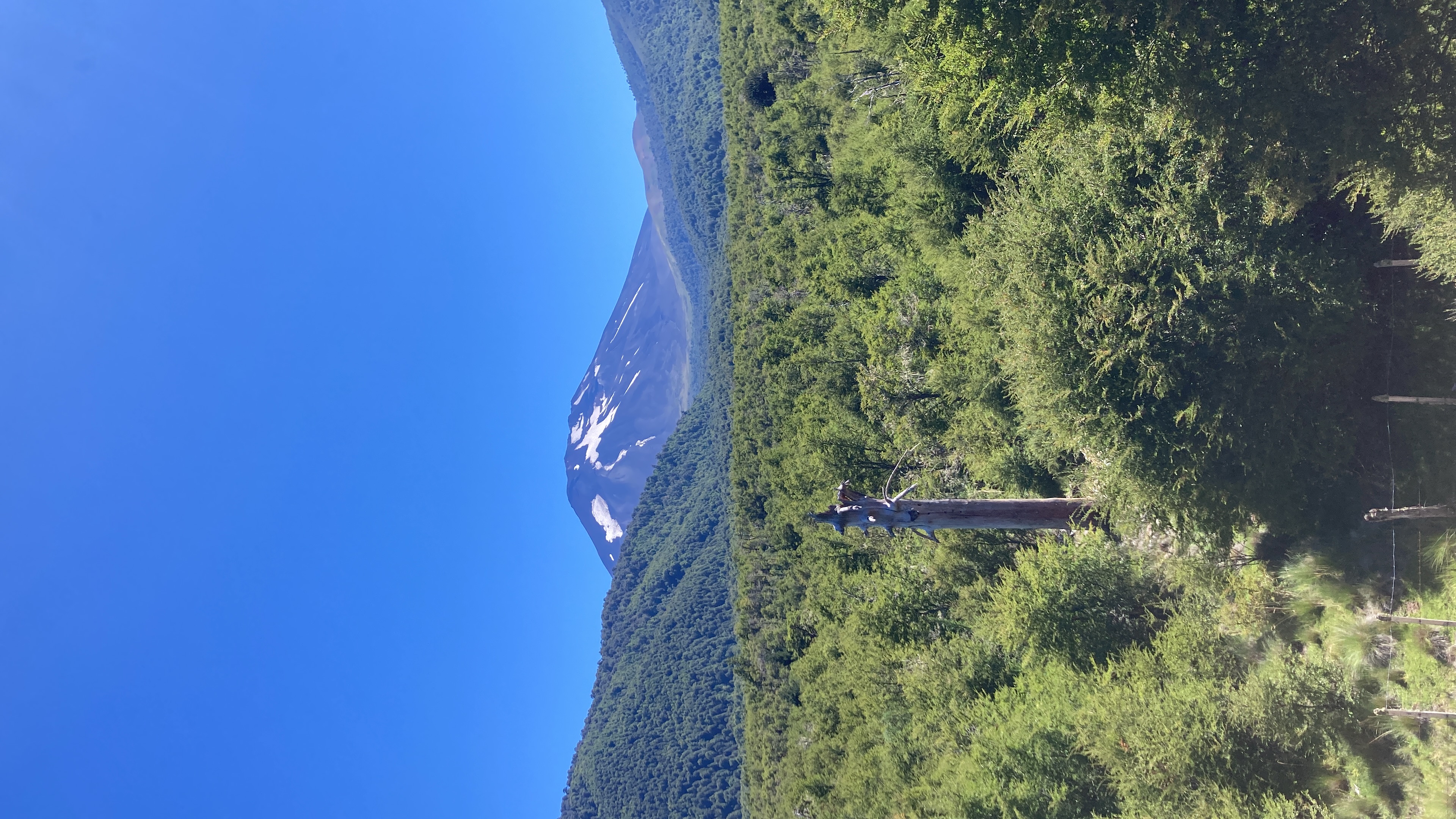 La Araucanía Andina