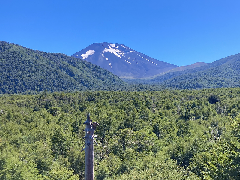 La Araucanía Andina