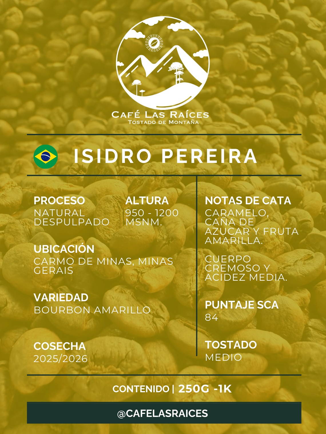 ISIDRO PEREIRA - CARMO DE MINAS  2