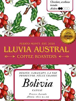 Café Bolivia Lavado