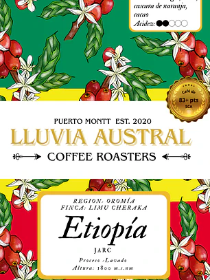 Café Etiopia Lavado