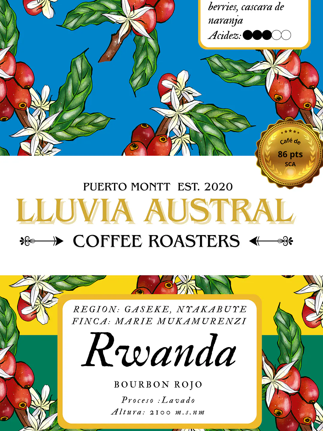 Café Rwanda Lavado 1
