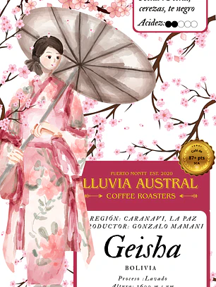 Café Geisha Lavado