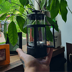 Prensa Francesa 350 ml