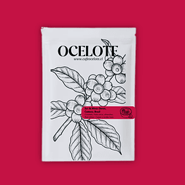 Café Brasil Caetano