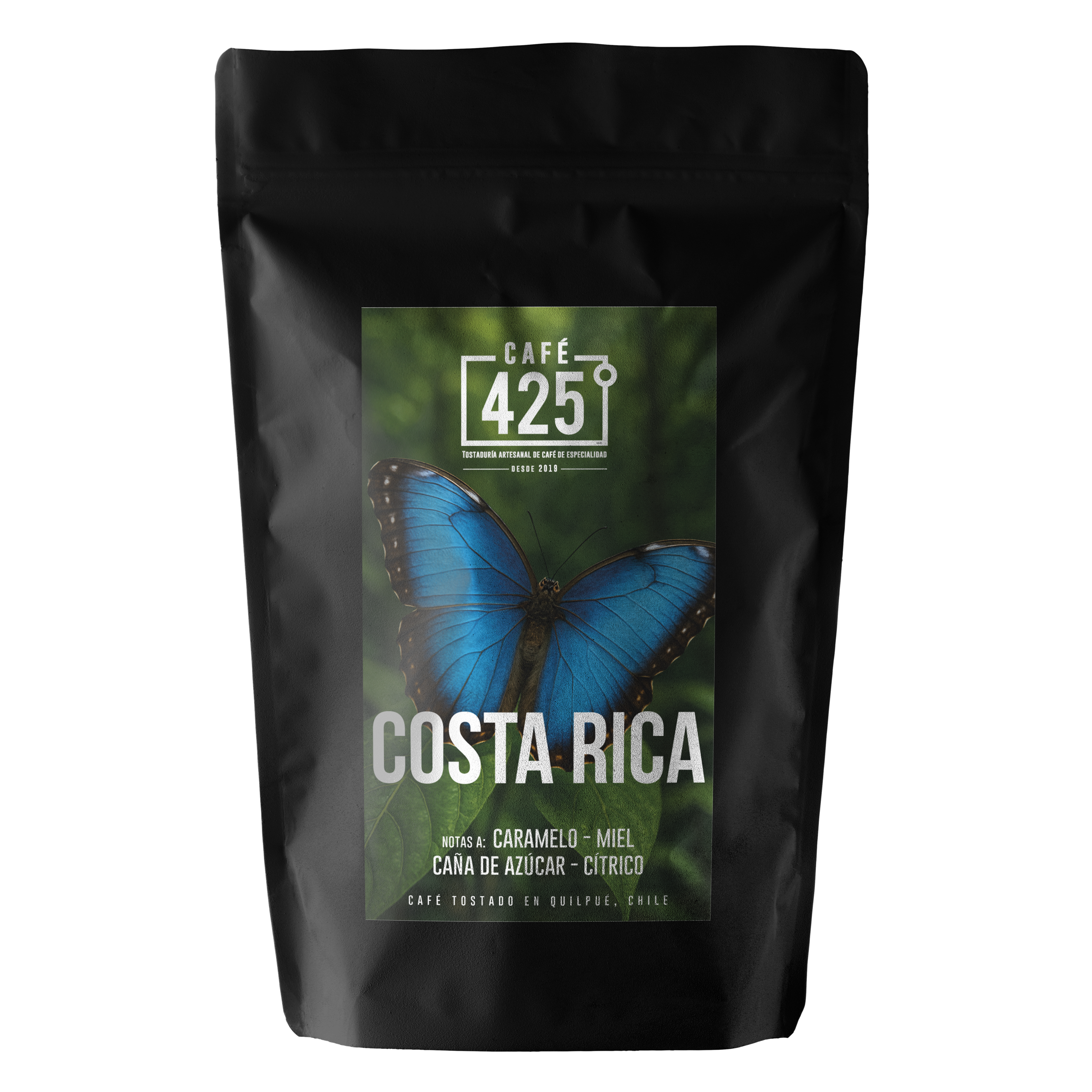 Costa Rica "Jaguar"