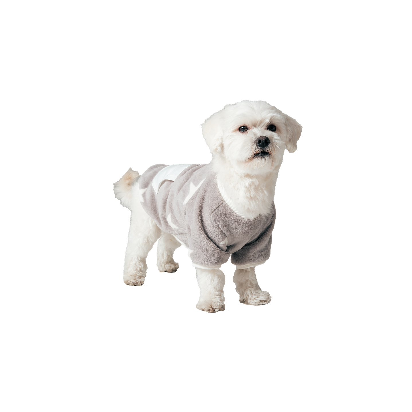 PIJAMA PERRO 30929P 2