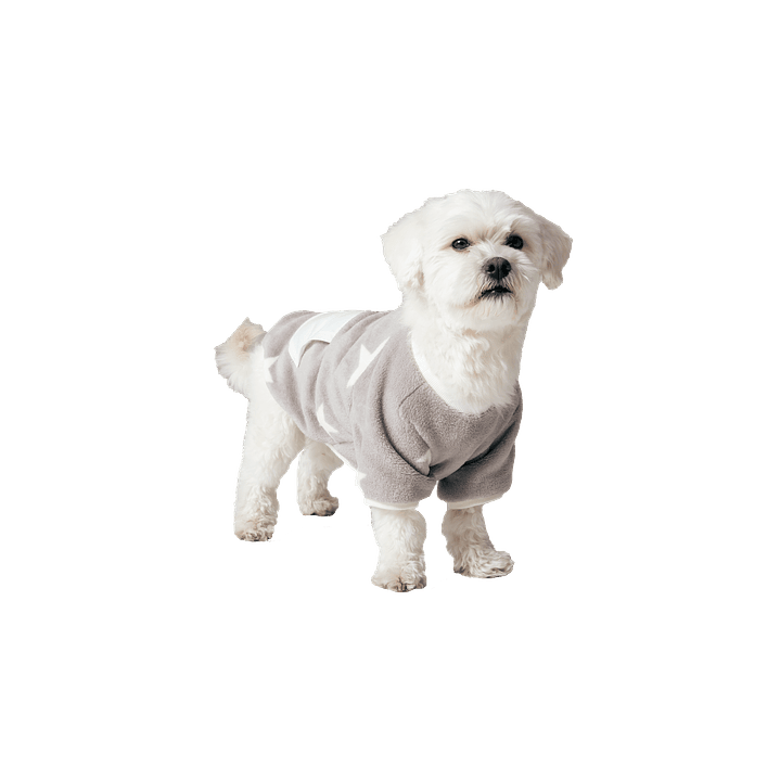 PIJAMA PERRO 30929P 2