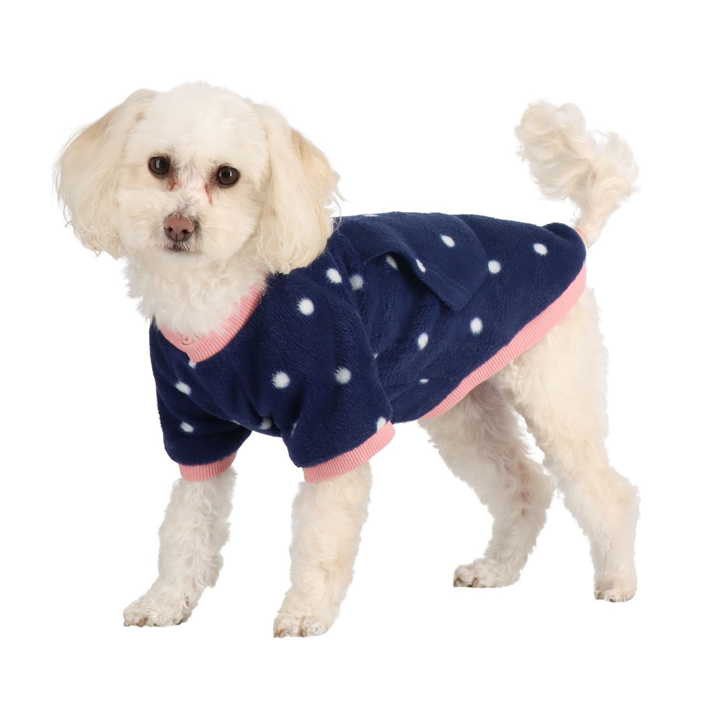 PIJAMA PARA PERRO 1