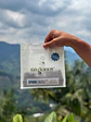 60 GRANOS SPRING - Miniatura 4