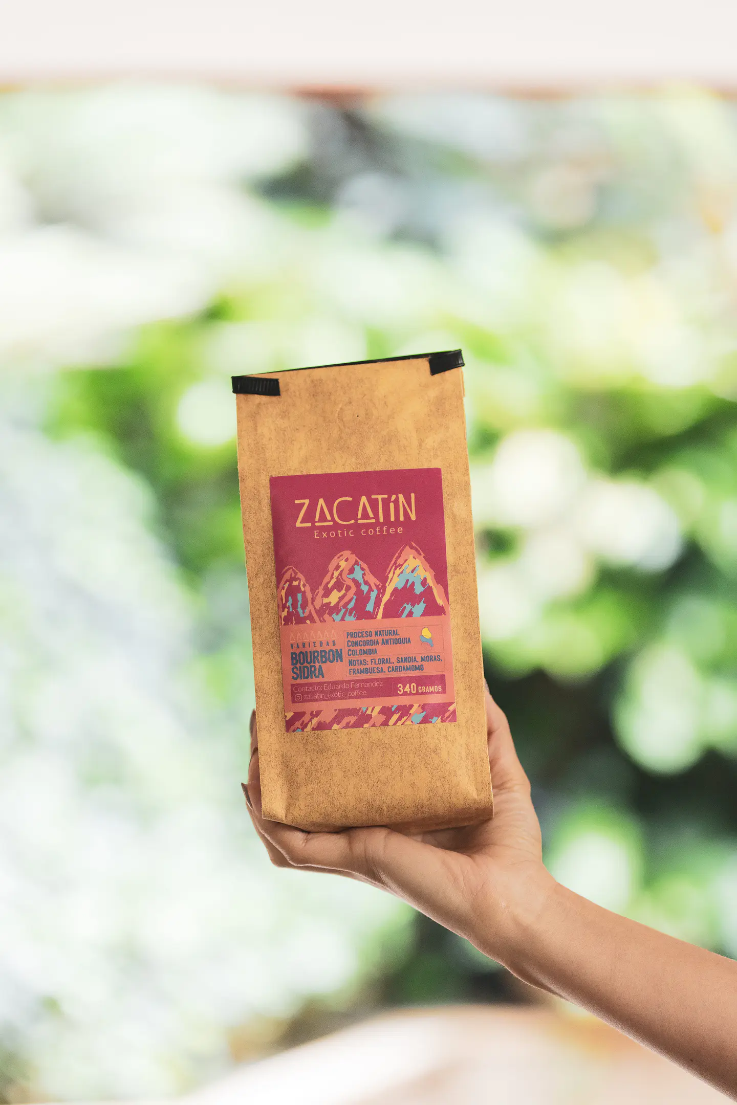 Zacatin - Bourbon Sidra 2