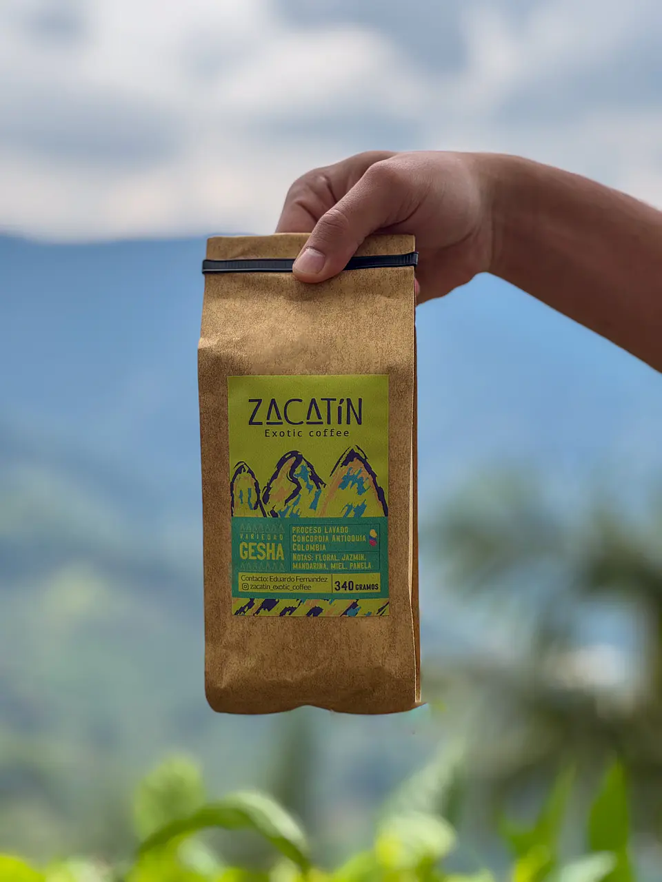 Zacatin - Gesha 2