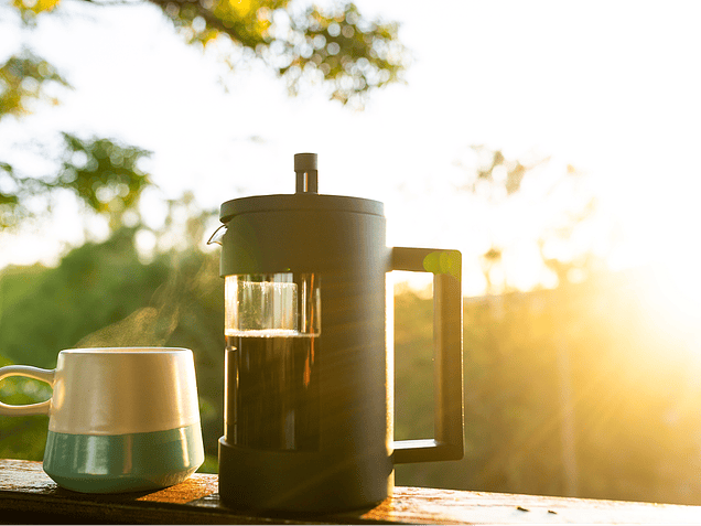 De Principiante a Barista: Prepara un Café Espectacular en Prensa Francesa