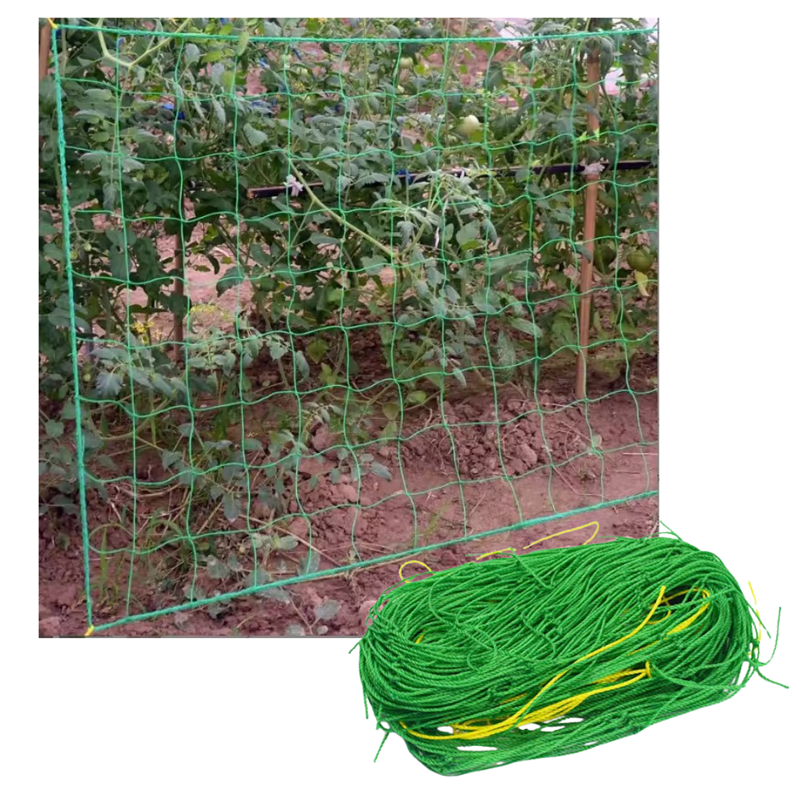 Red Cultivo Nailon Para Plantas Enredaderas 0,9m X 1,8m 1