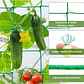 Red Cultivo Nailon Para Plantas Enredaderas 0,9m X 1,8m - Miniatura 8