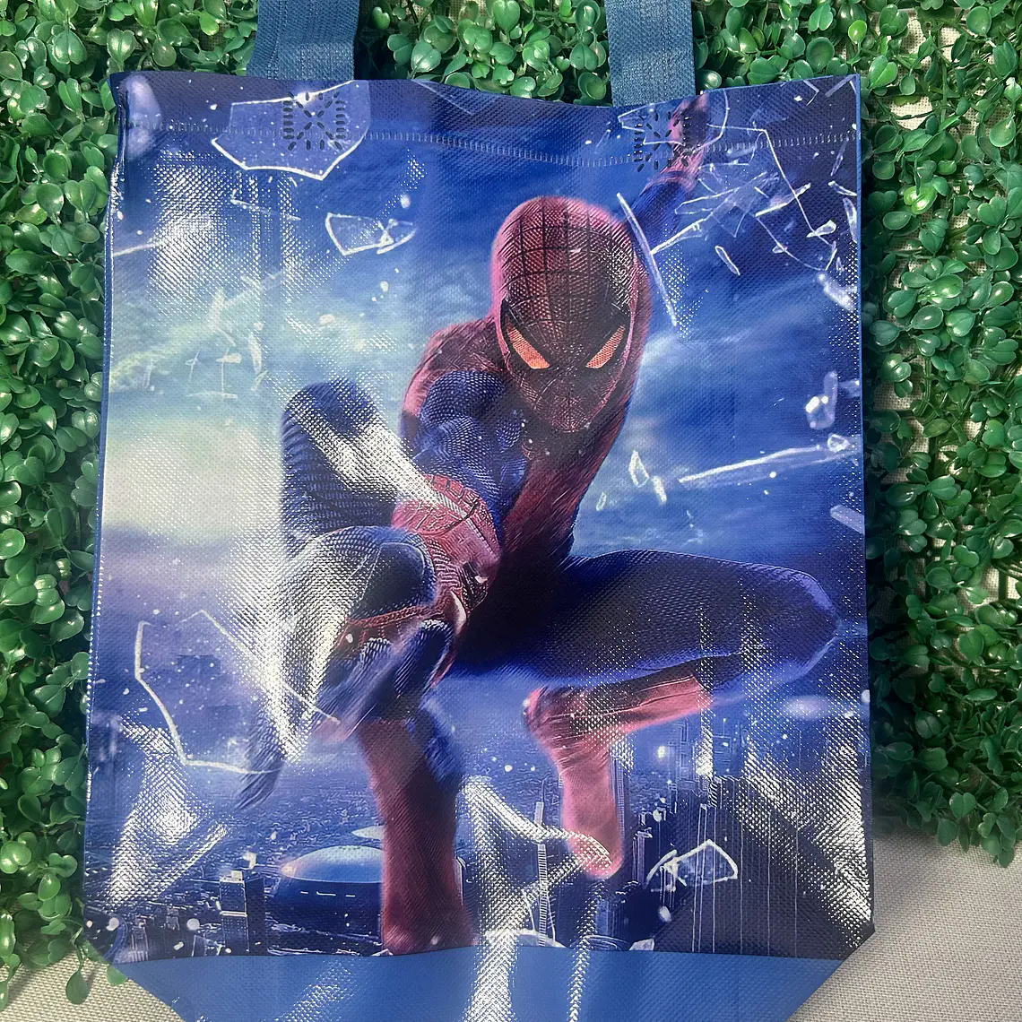 Bolsa de plástico Regalo Reutilizable  de 23 x 30 cm 1