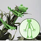 Soporte Flexible para Plantas Diseño Ranita 1 uni - Miniatura 1
