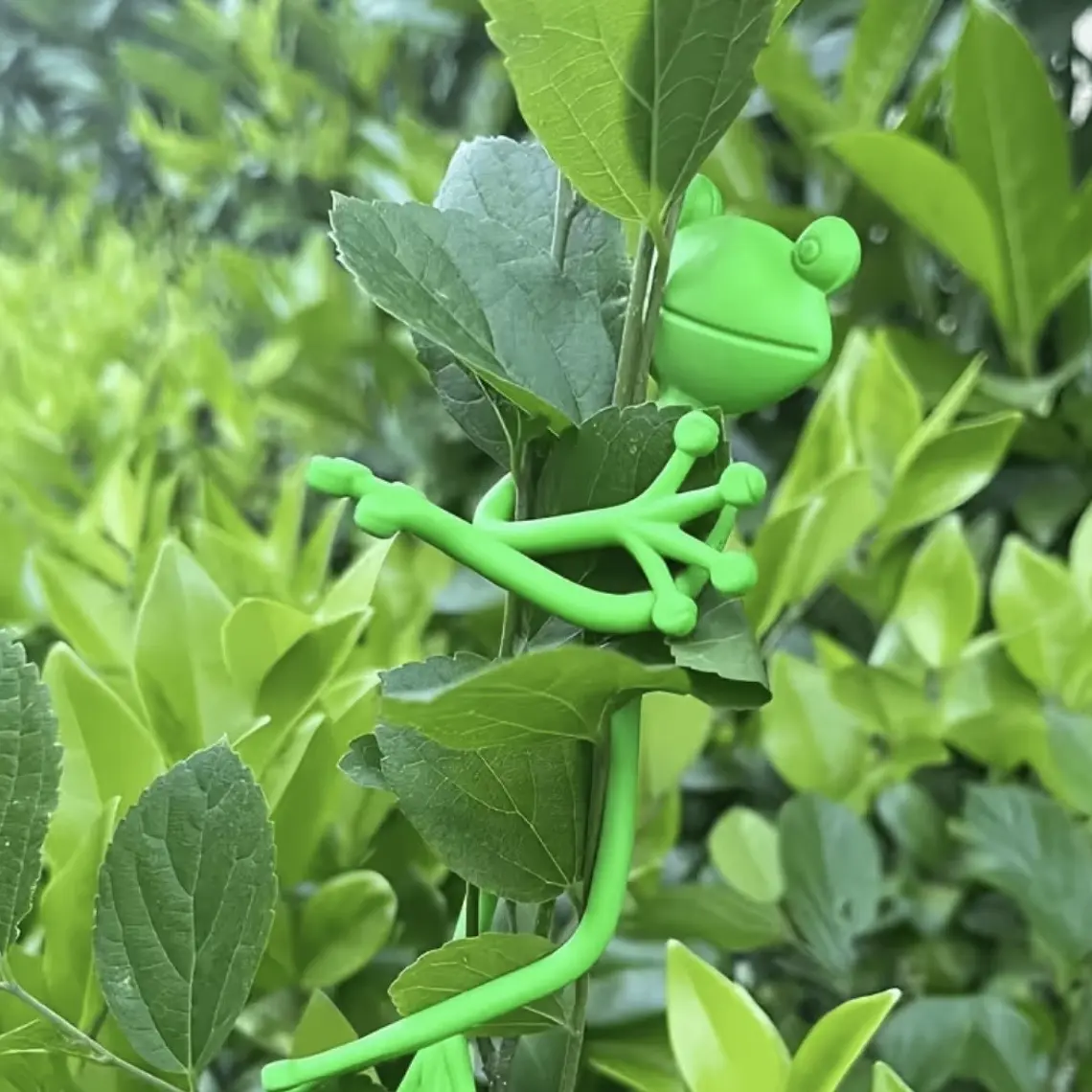 Soporte Flexible para Plantas Diseño Ranita 1 uni 3
