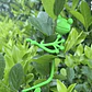 Soporte Flexible para Plantas Diseño Ranita 1 uni - Miniatura 3