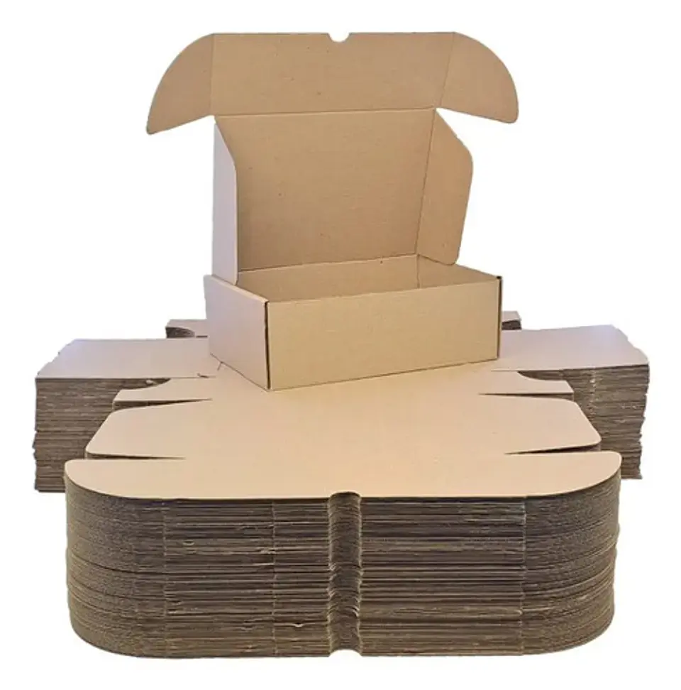 20 Cajas Troquelada   Automontable  Microcorrugado 30x20x10 1