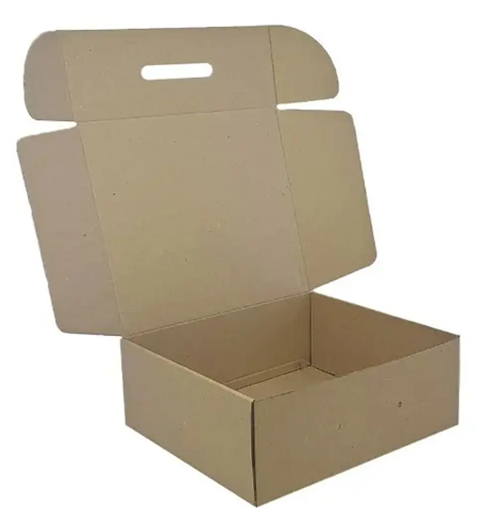 Caja De Carton Micro X 20 Unidades 29x32x12 Cm Para Zapatos  1