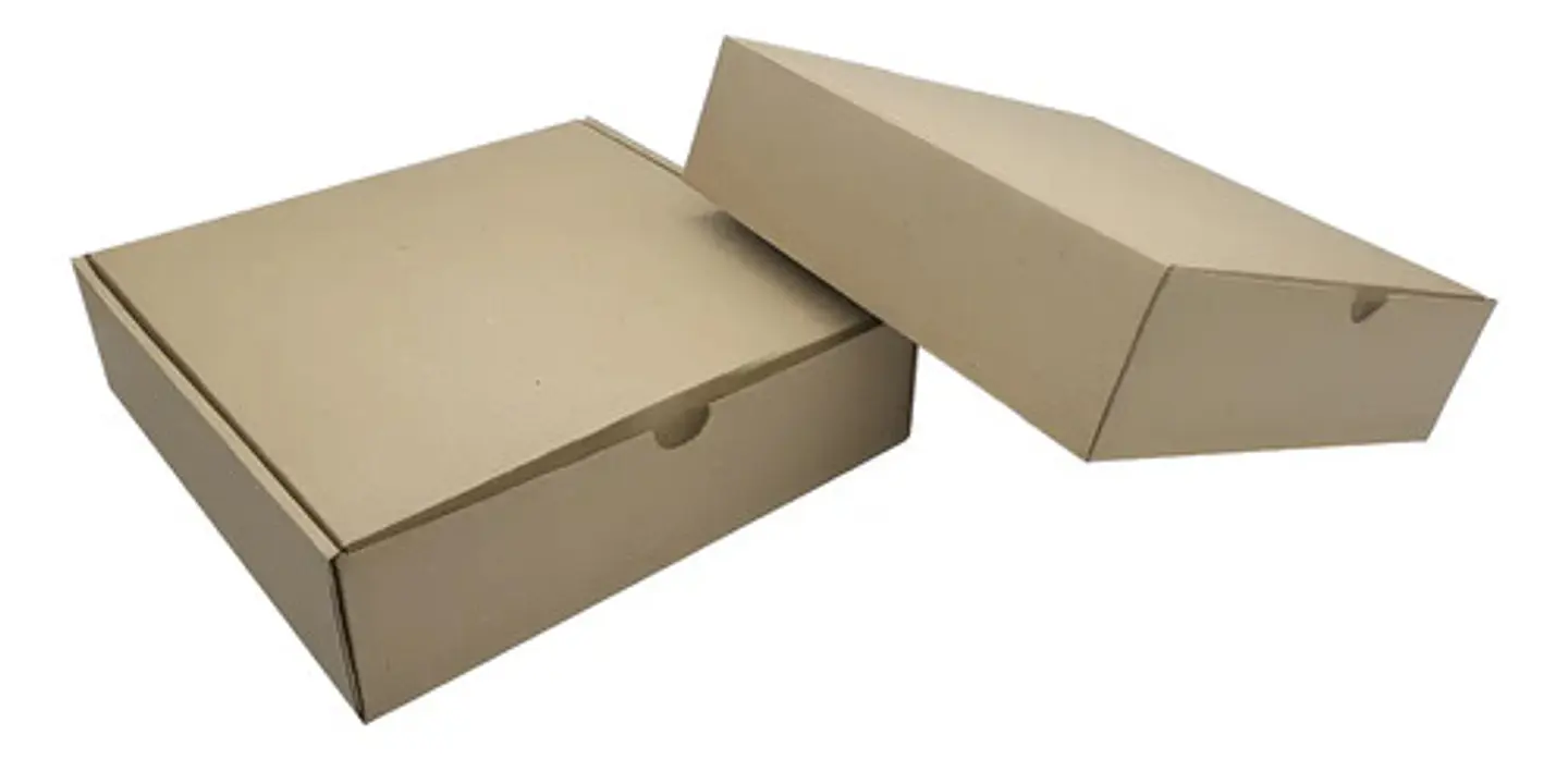 Caja De Cartón  25x25x7 Cm De Alto Paquete De 20 Unidades 1