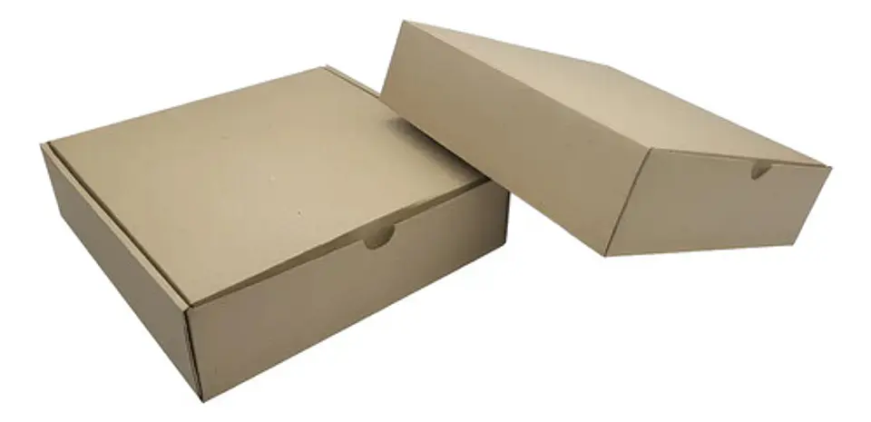 Caja De Cartón  25x25x7 Cm De Alto Paquete De 20 Unidades 1