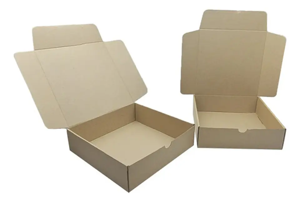 Caja De Cartón  25x25x7 Cm De Alto Paquete De 20 Unidades 3