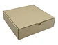 Caja De Cartón  25x25x7 Cm De Alto Paquete De 20 Unidades - Miniatura 4