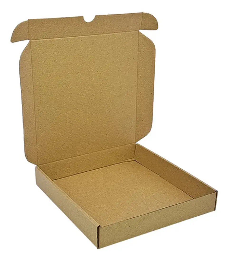 Caja De Cartón Microcorrugado 25x25x4cm X 15 Unidades 2