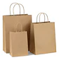 Bolsa Ecológica Manija Trenzada 20x12x25 Kraft Pack X 50 Uni - Miniatura 1