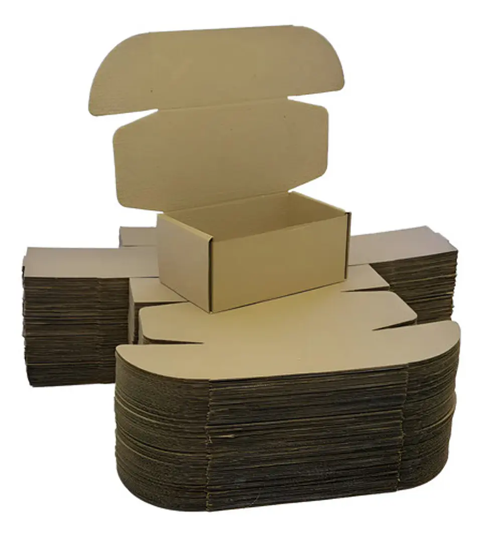 Paquete X 25 Unidades Caja En Carton Automatica 17.5x11.5x8 1
