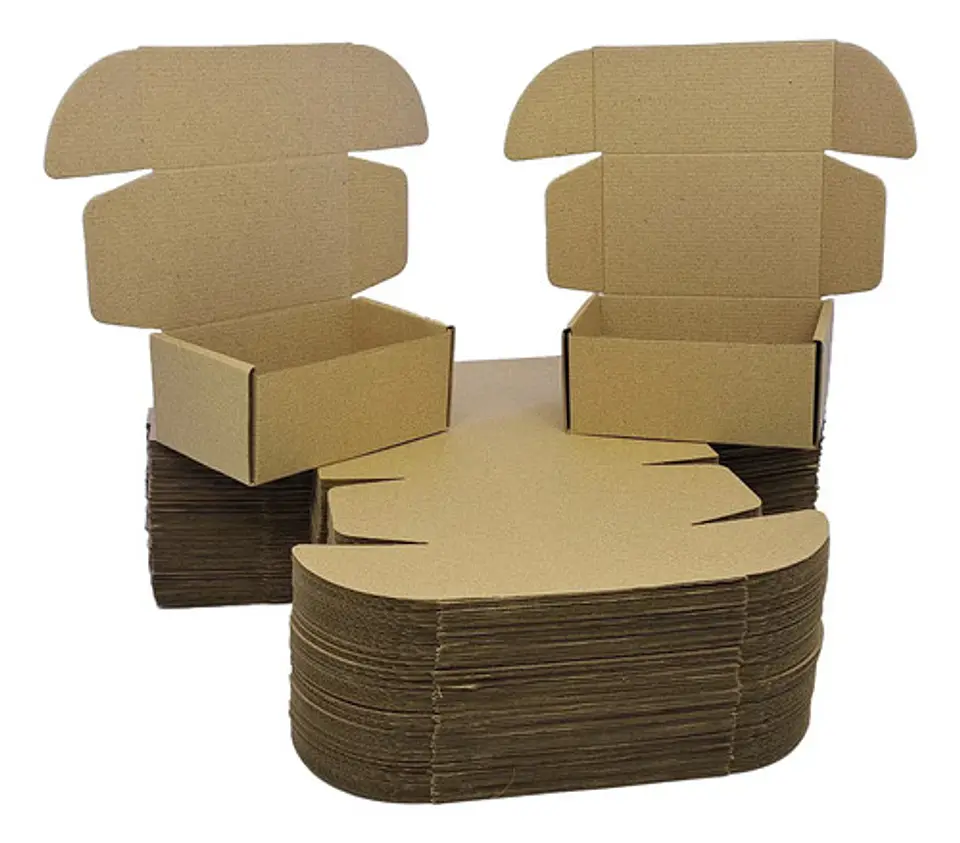 Paquete X 25 Unidades Caja En Carton Automatica 17.5x11.5x8 2