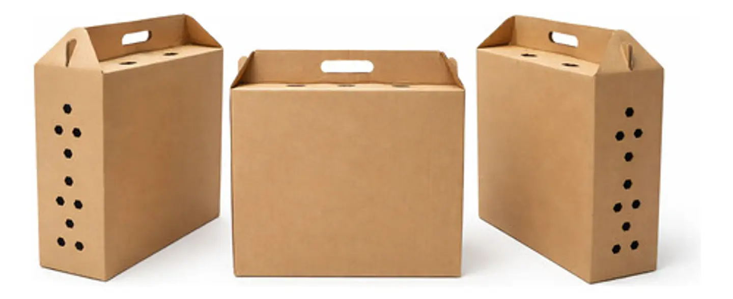 5 Cajas Para Transporte De Gallos De Pelea 3