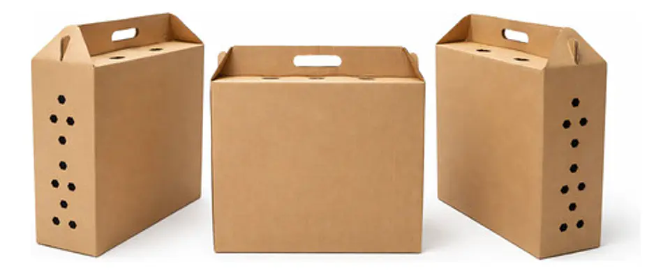 5 Cajas Para Transporte De Gallos De Pelea 3